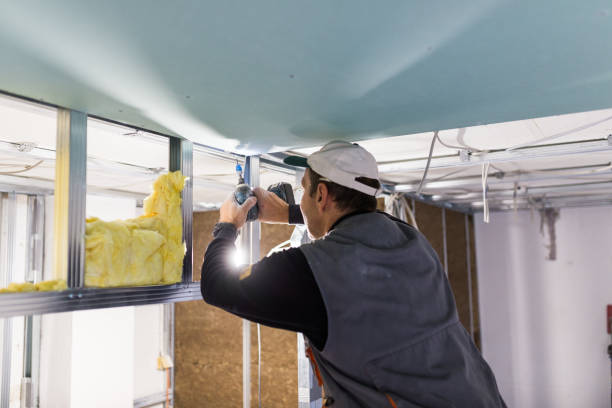 Best Soundproof Insulation Installation  in Willimantic, CT