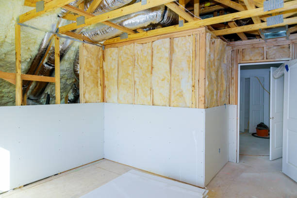 Best Insulation Contractor Near Me  in Willimantic, CT