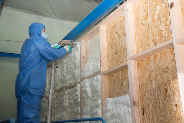 Best Insulation Replacement Services  in Willimantic, CT
