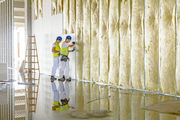 Best Attic Insulation Installation  in Willimantic, CT